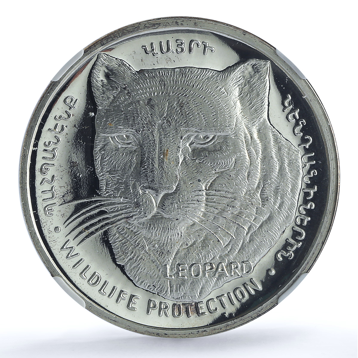 Artsakh Karabakh 1000 dram Leopard KM-19 Fauna Cat PF 69 NGC silver coin 2004