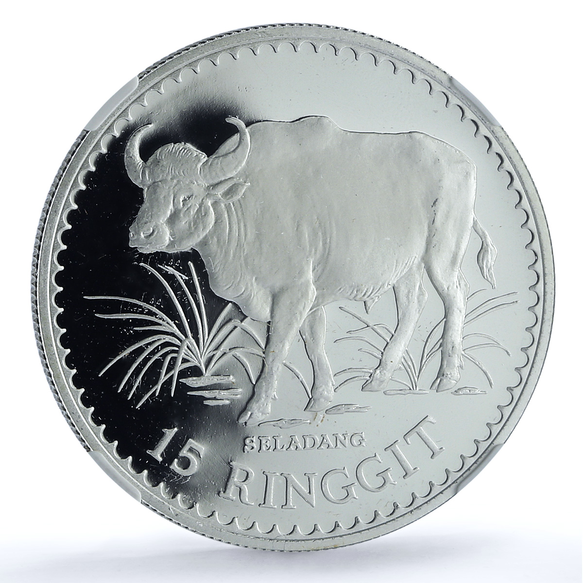 Malaysia 15 ringgit Gaur KM-19 Conservation Fauna Bull PF69 NGC silver coin 1976 Malaysia 15 ringgit Gaur KM-19 Conservation Fauna Bull PF69 NGC silver coin 1976