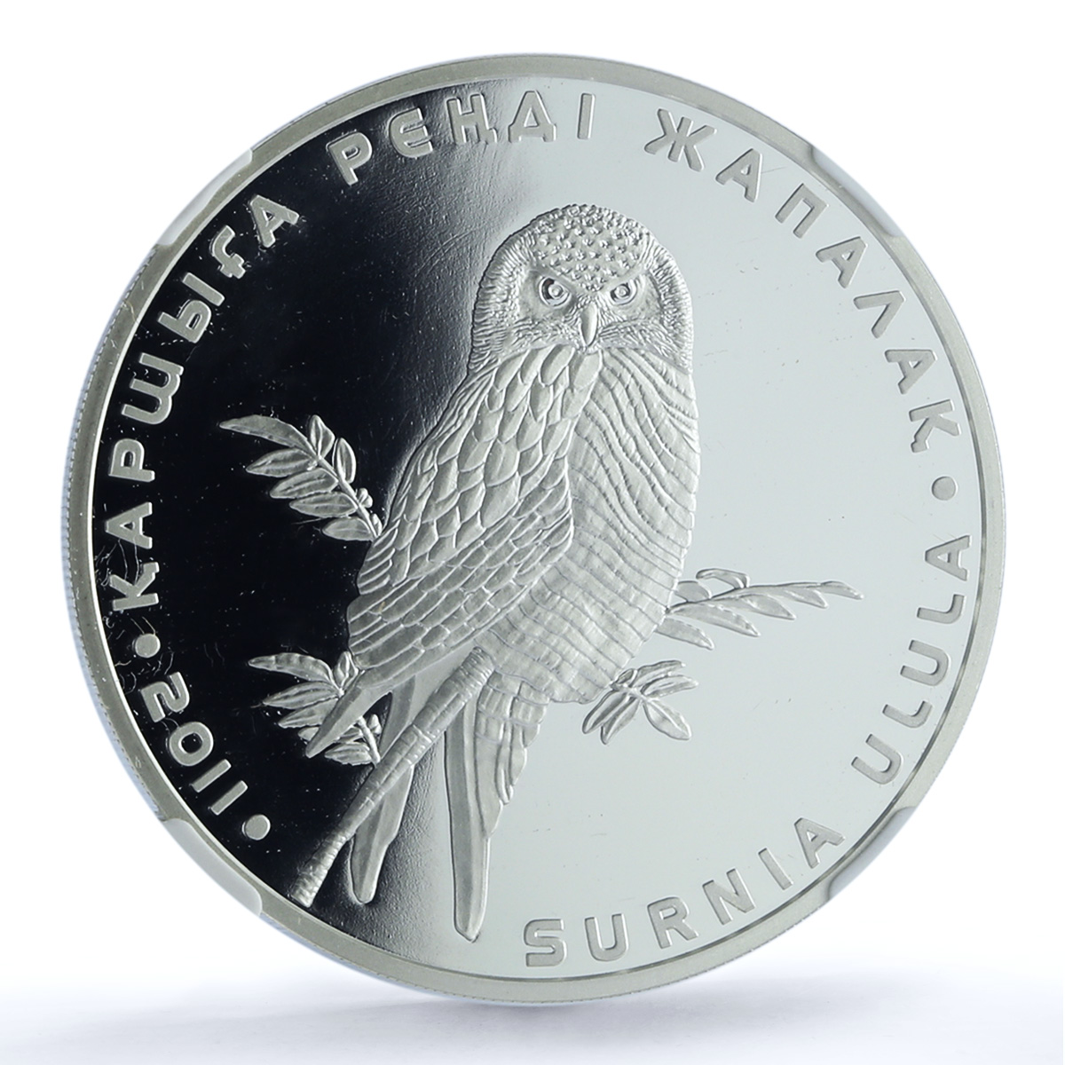 Kazakhstan 500 tenge Hawk Owl KM-205 Fauna Bird PF 69 NGC silver coin 2011 Kazakhstan 500 tenge Hawk Owl KM-205 Fauna Bird PF 69 NGC silver coin 2011