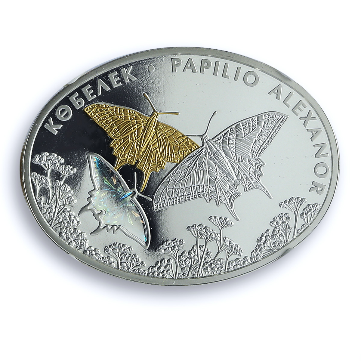 Kazakhstan 500 tenge Papilio Alexanor KM-106 Butterfly PF69 NGC silver coin 2008 Kazakhstan 500 tenge Papilio Alexanor KM-106 Butterfly PF69 NGC silver coin 2008
