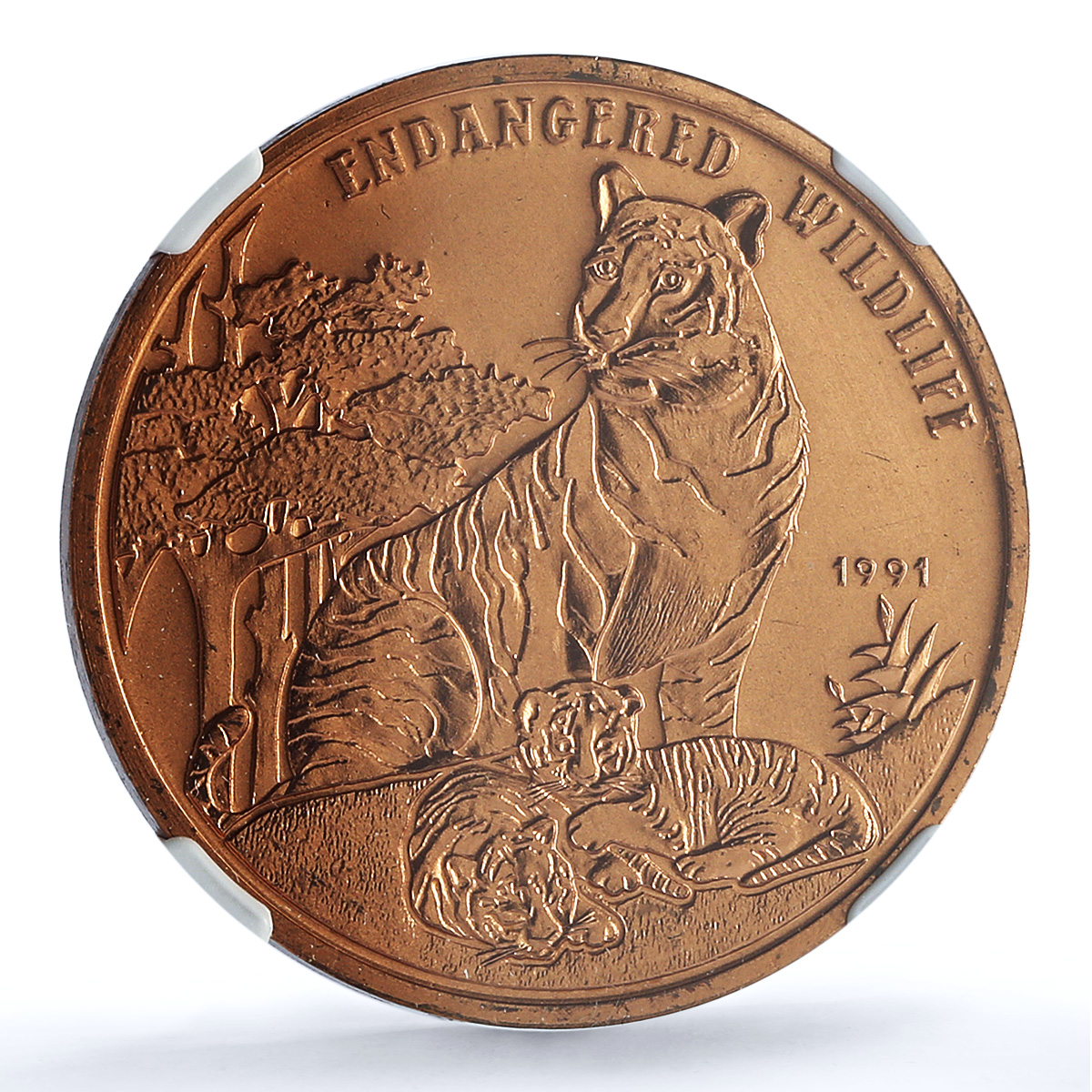 Laos 10 kip Tiger KM-54 Wildlife Fauna Cat MS 66 NGC copper coin 1991