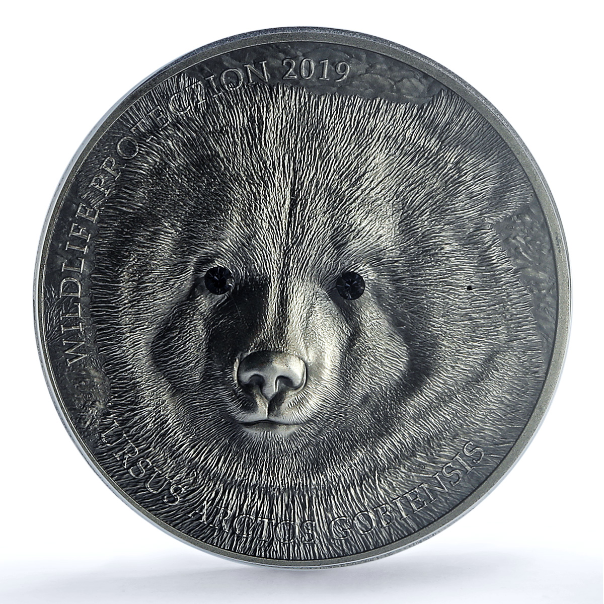 Mongolia 500 togrog Gobi Bear Wildlife Protection MS 70 PCGS silver coin 2019 Mongolia 500 togrog Gobi Bear Wildlife Protection MS 70 PCGS silver coin 2019