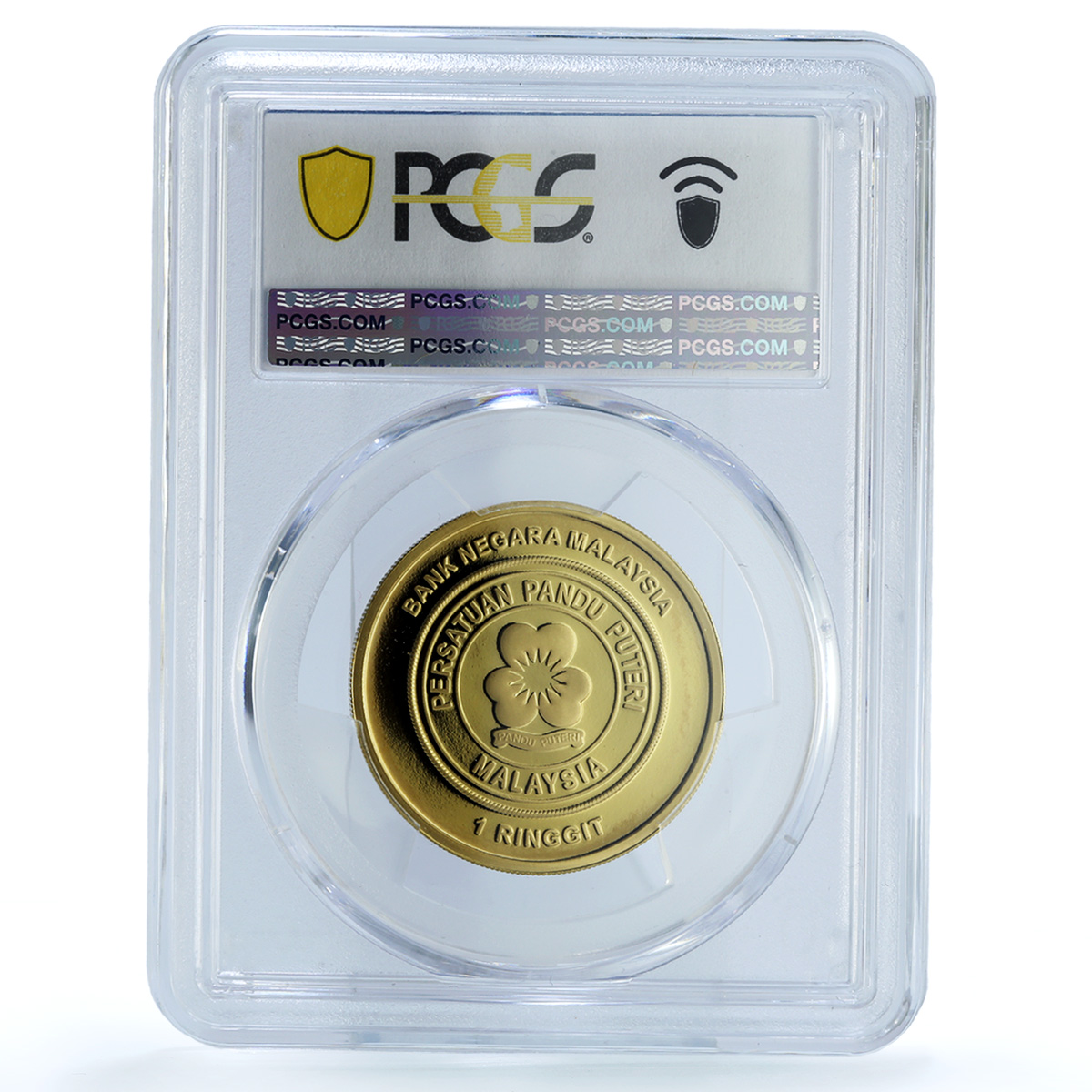 Malaysia 1 ringgit Girl Guiding KM-220 PR 69 PCGS copper coin 2016 Malaysia 1 ringgit Girl Guiding KM-220 PR 69 PCGS copper coin 2016