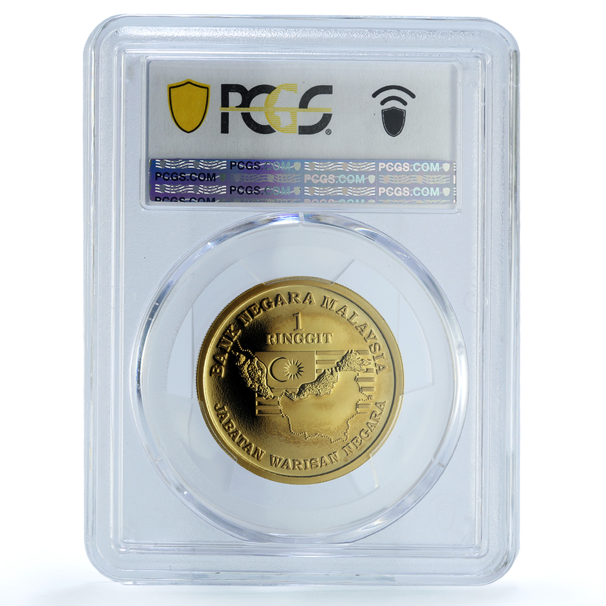 Malaysia 1 ringgit National Flower KM-198 Bunga Raya PR 69 PCGS copper coin 2010 Malaysia 1 ringgit National Flower KM-198 Bunga Raya PR 69 PCGS copper coin 2010
