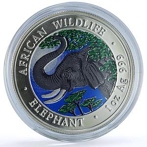 Somalia 1000 shillings Elephant Coloured African Wildlife silver coin 2005