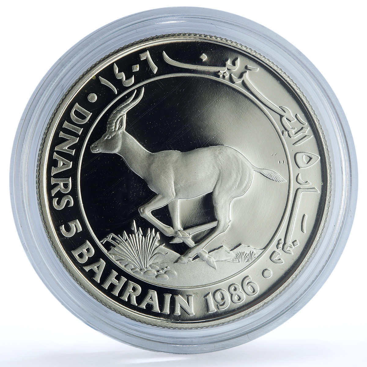 Bahrain 5 dinars WWF Wildlife Fund KM-13 Fauna Oryx Gemsbok silver coin 1986 Bahrain 5 dinars WWF Wildlife Fund KM-13 Fauna Oryx Gemsbok silver coin 1986