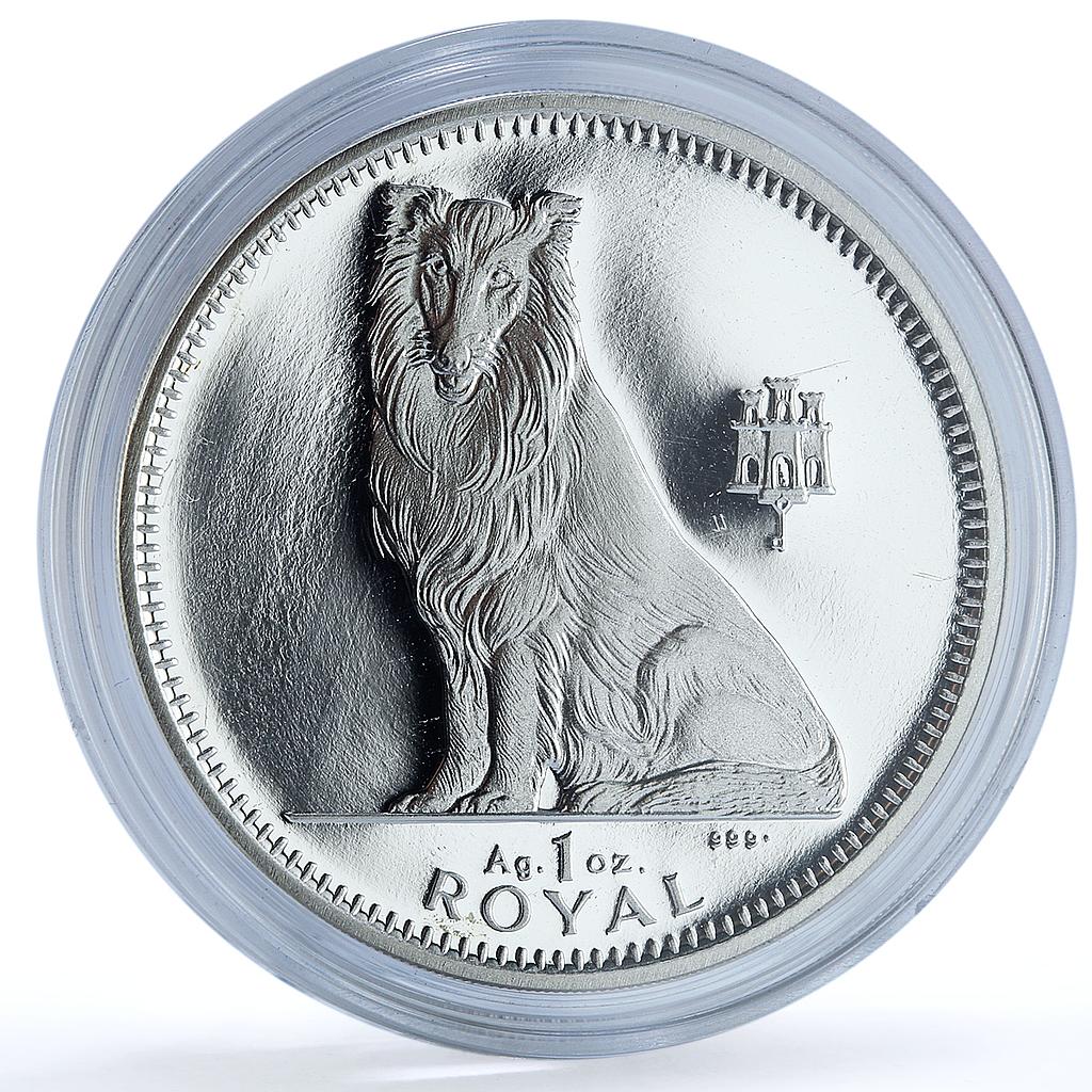 Gibraltar 1 royal Collie KM-318a Best Friends Dog proof silver coin 1995 Gibraltar 1 royal Collie KM-318a Best Friends Dog proof silver coin 1995