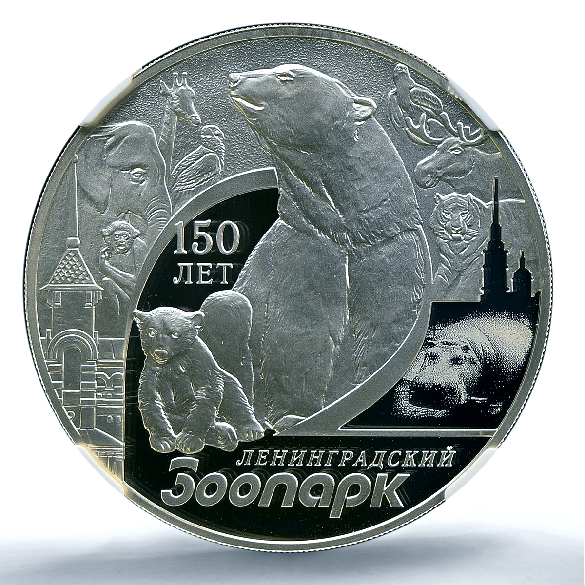 Russia 3 roubles Leningrad Zoo Y#1618 Bear Elephant PF 70 NGC silver coin 2015