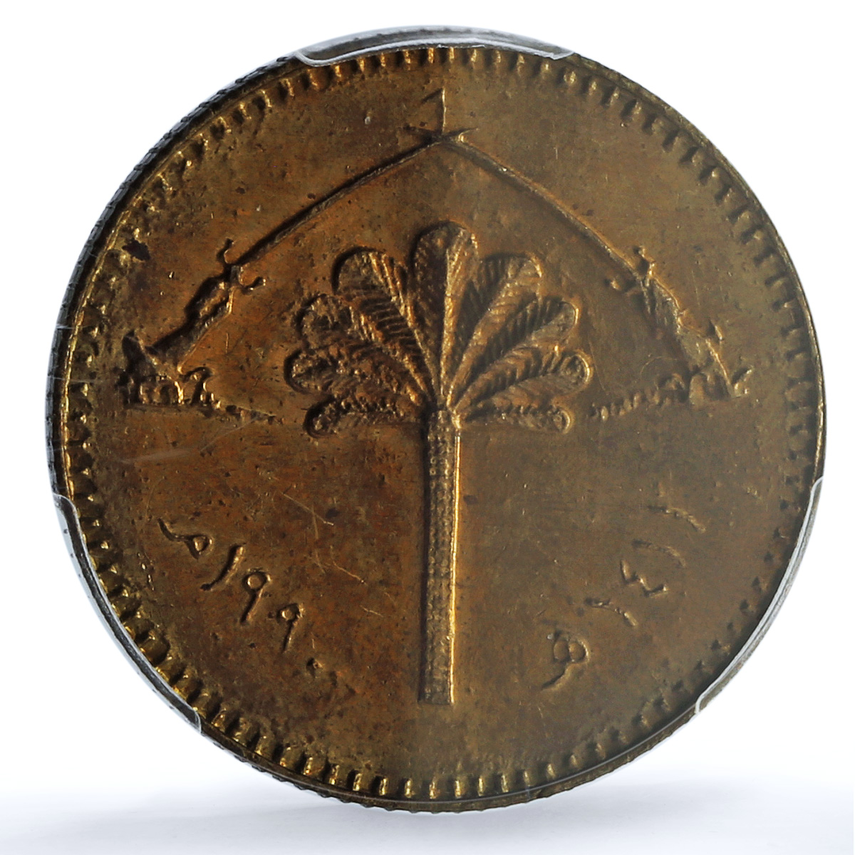 Iraq 5 dinars Republic KM-171 Victory Arch Palm Tree MS 64 PCGS bronze coin 1990