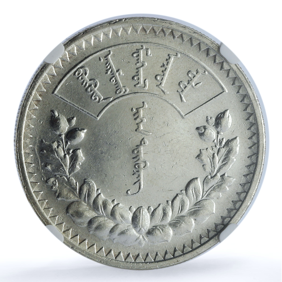 Mongolia 1 togrog State Coinage Coat of Arms KM-8 MS61 NGC silver coin 1925 Mongolia 1 togrog State Coinage Coat of Arms KM-8 MS61 NGC silver coin 1925