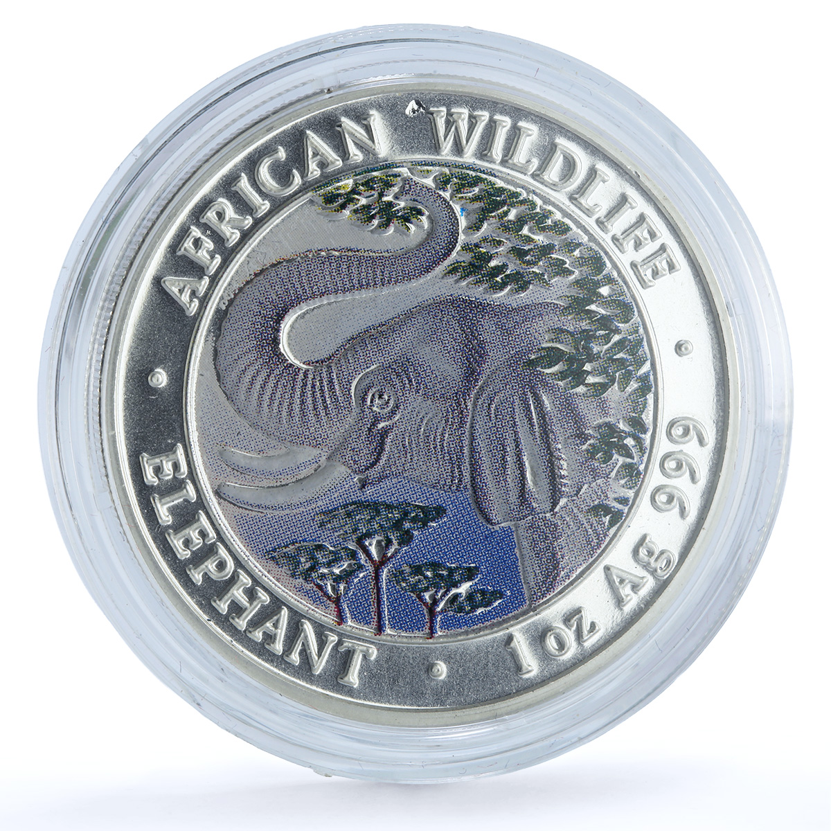 Somalia 1000 shillings Elephant Coloured African Wildlife silver coin 2005