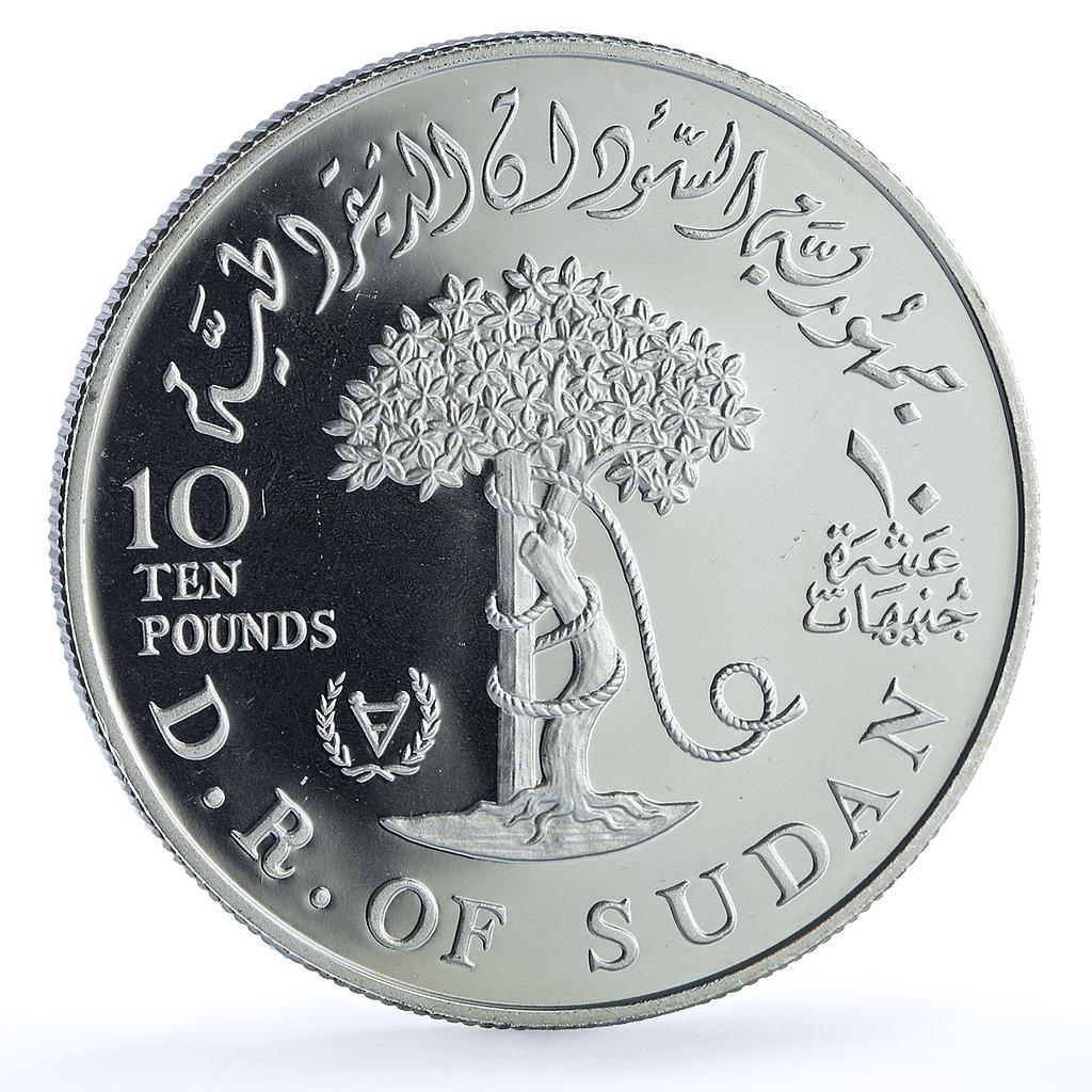 Sudan 10 pounds International Year Disabled Persons KM-88 proof silver coin 1981