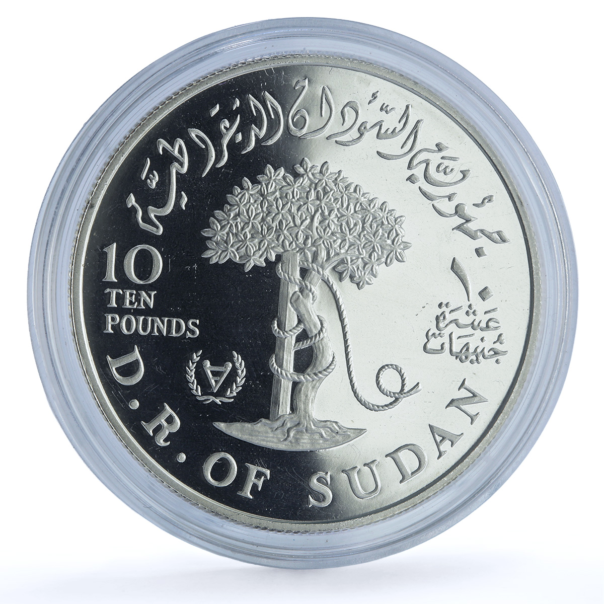 Sudan 10 pounds International Year Disabled Persons KM-88 proof silver coin 1981