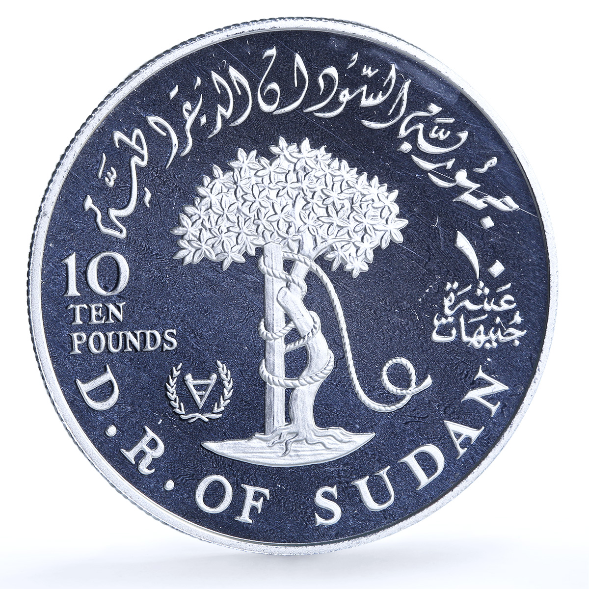 Sudan 10 pounds International Year Disabled Persons KM-88 proof silver coin 1981