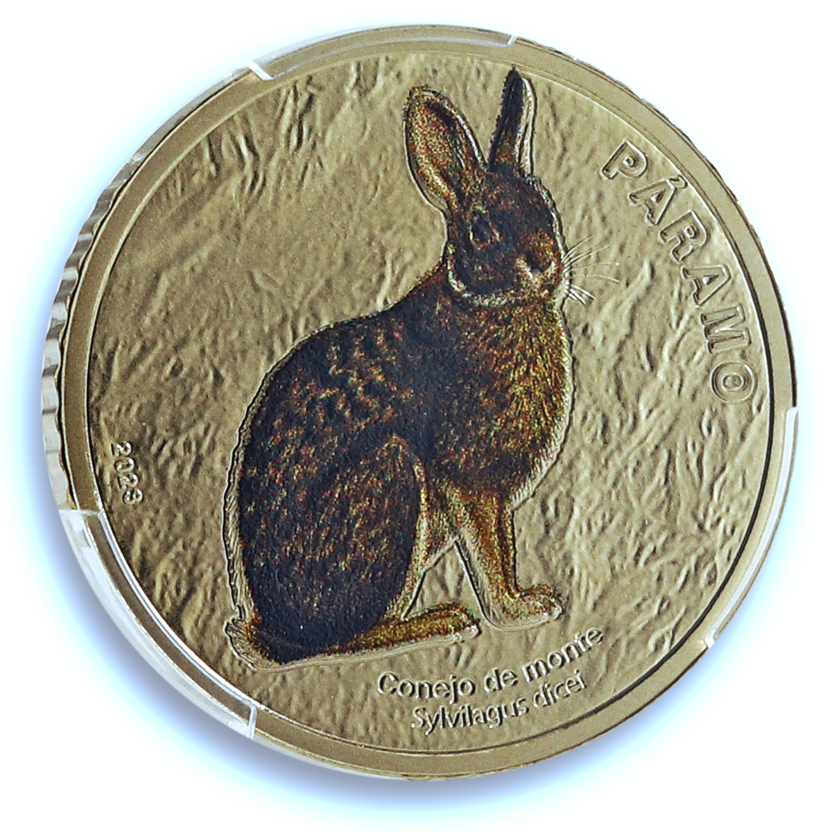Costa Rica 50 colones Cottontail Rabbit KM-248 Fauna PR69 PCGS NiBrass coin 2023 Costa Rica 50 colones Cottontail Rabbit KM-248 Fauna PR69 PCGS NiBrass coin 2023