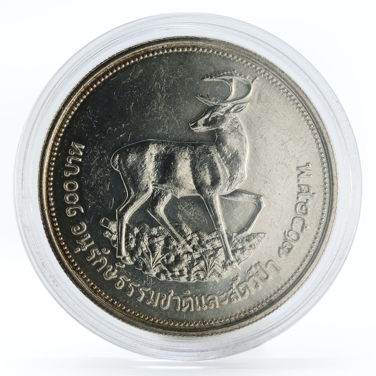 Thailand 100 baht Wildlife Deer silver coin 1974