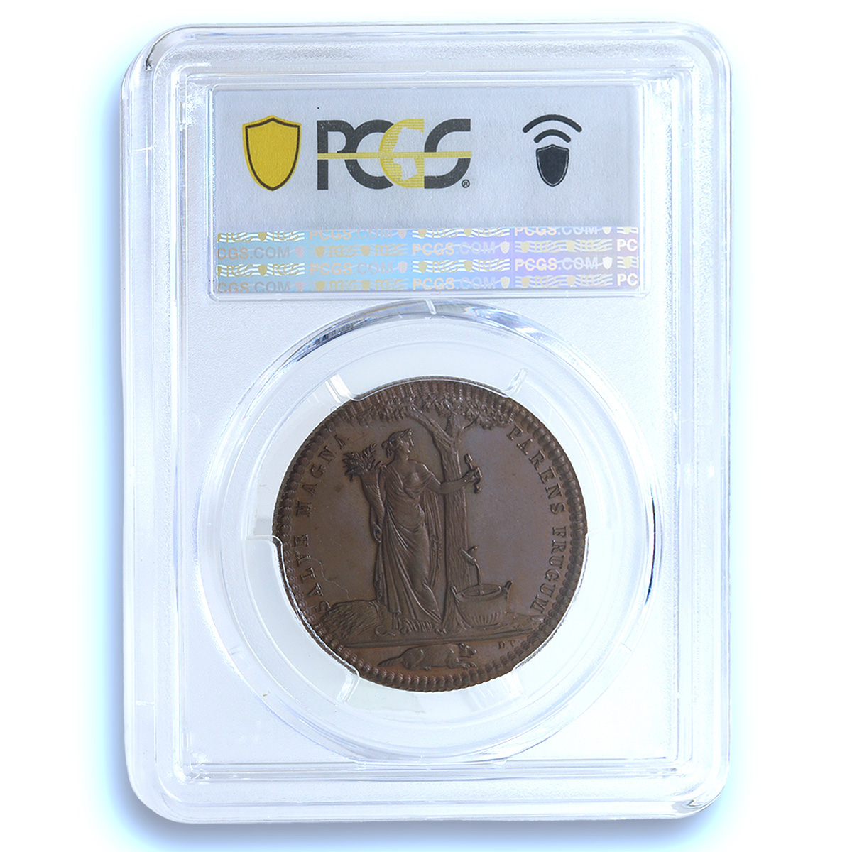 Castorland French-American Colony Lec-205 MS 65 PCGS copper medal 1796 Castorland French-American Colony Lec-205 MS 65 PCGS copper medal 1796