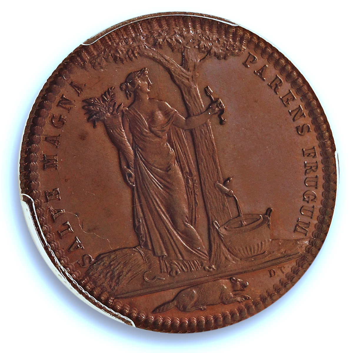 Castorland French-American Colony Lec-205 MS 65 PCGS copper medal 1796 Castorland French-American Colony Lec-205 MS 65 PCGS copper medal 1796