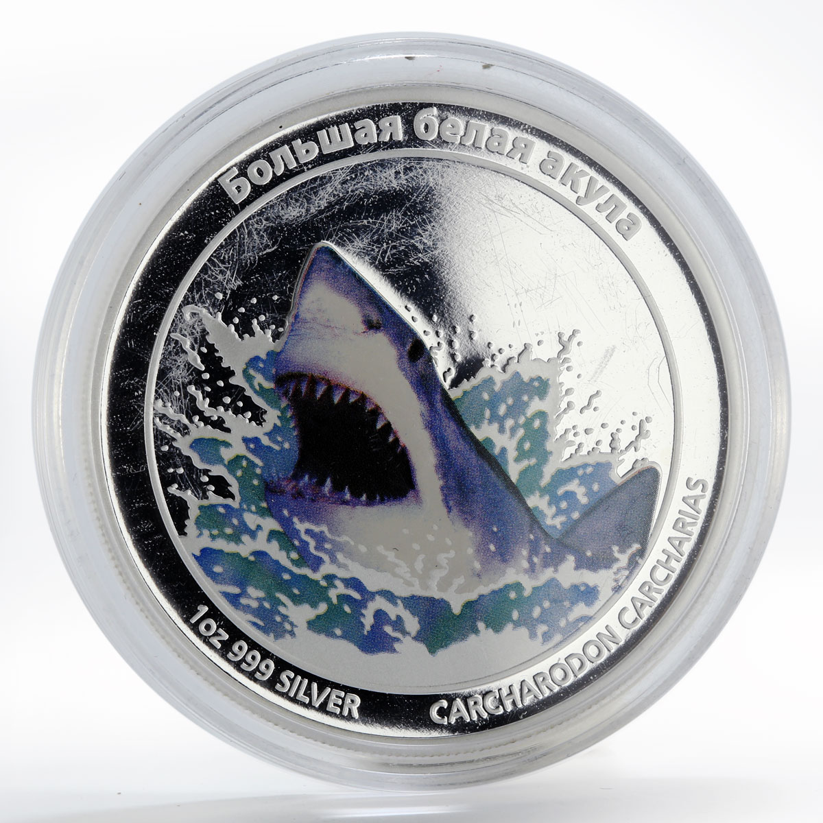 Tuvalu 1 dollar Great white shark colored proof silver coin 2011
