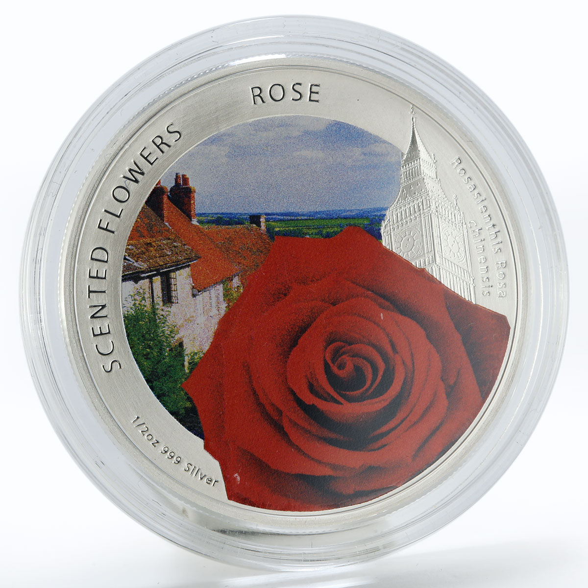 Niue 1 dollar Scented Flowers Rose colored silver coin 2013