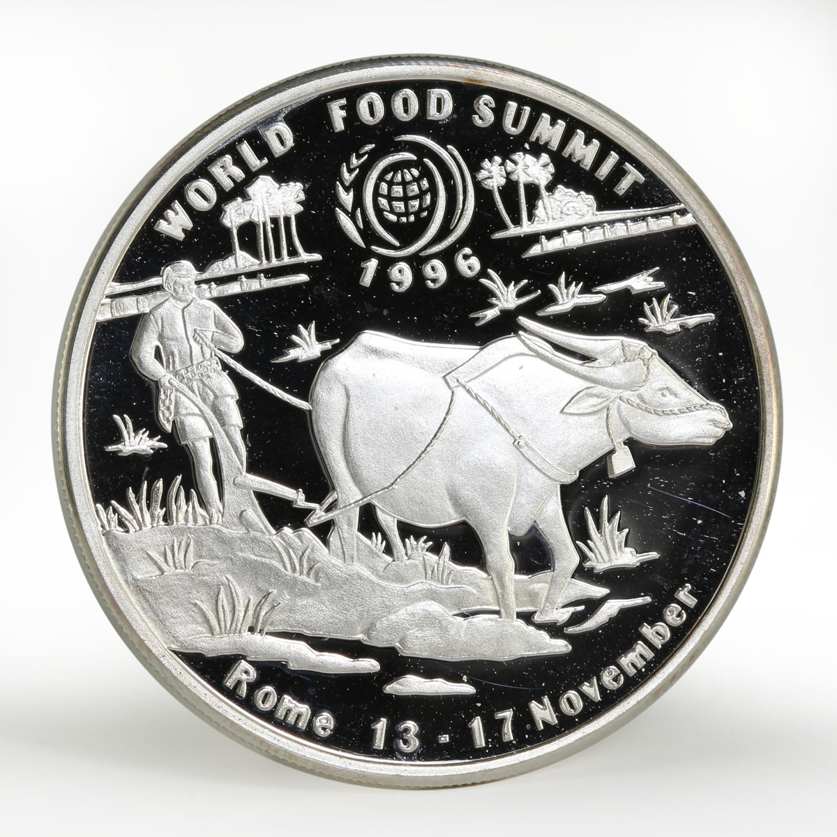 Laos 50 kip World Food Summit in Rome silver coin 1996