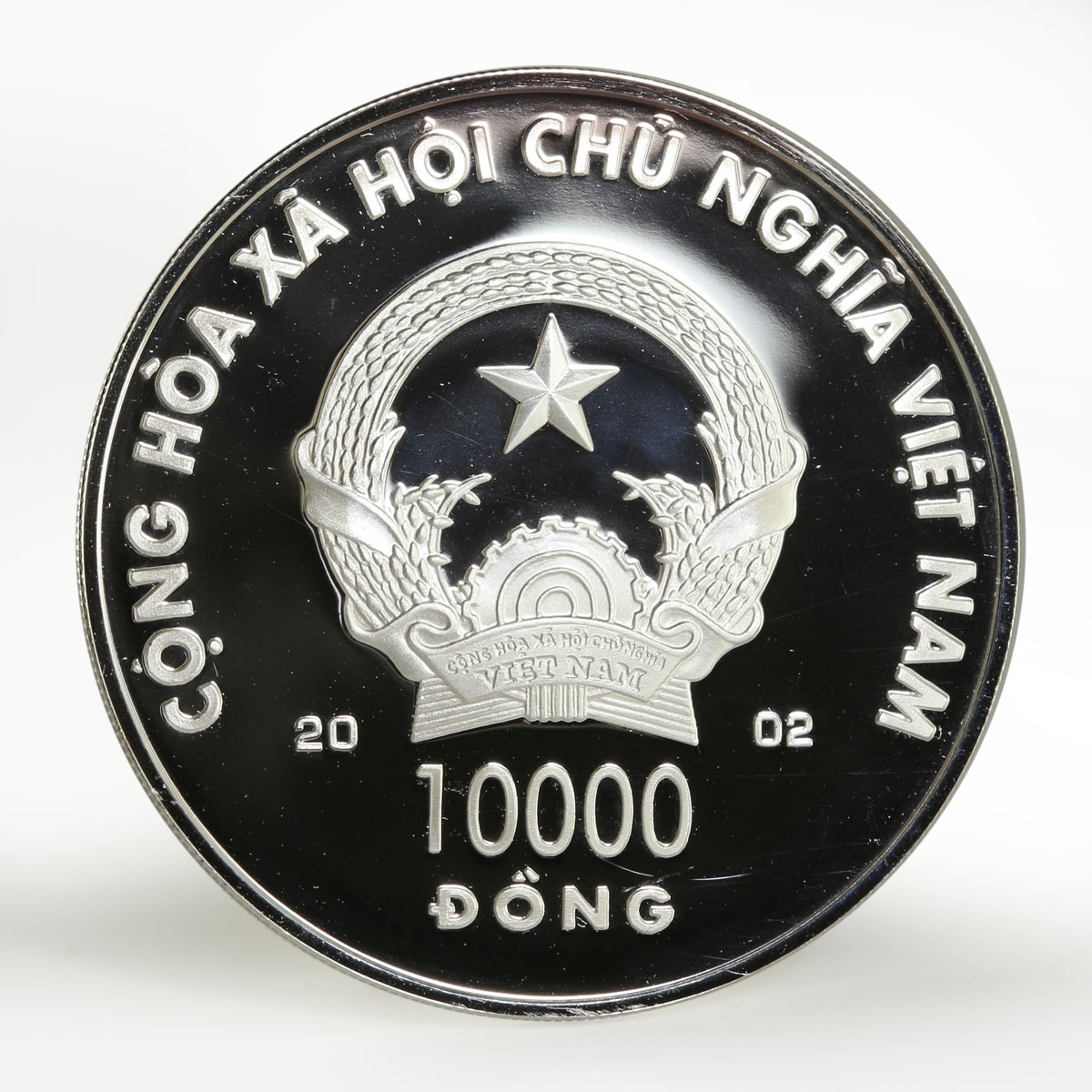 Vietnam 10000 dong Year of the Horse hologram proof silver coin 2002