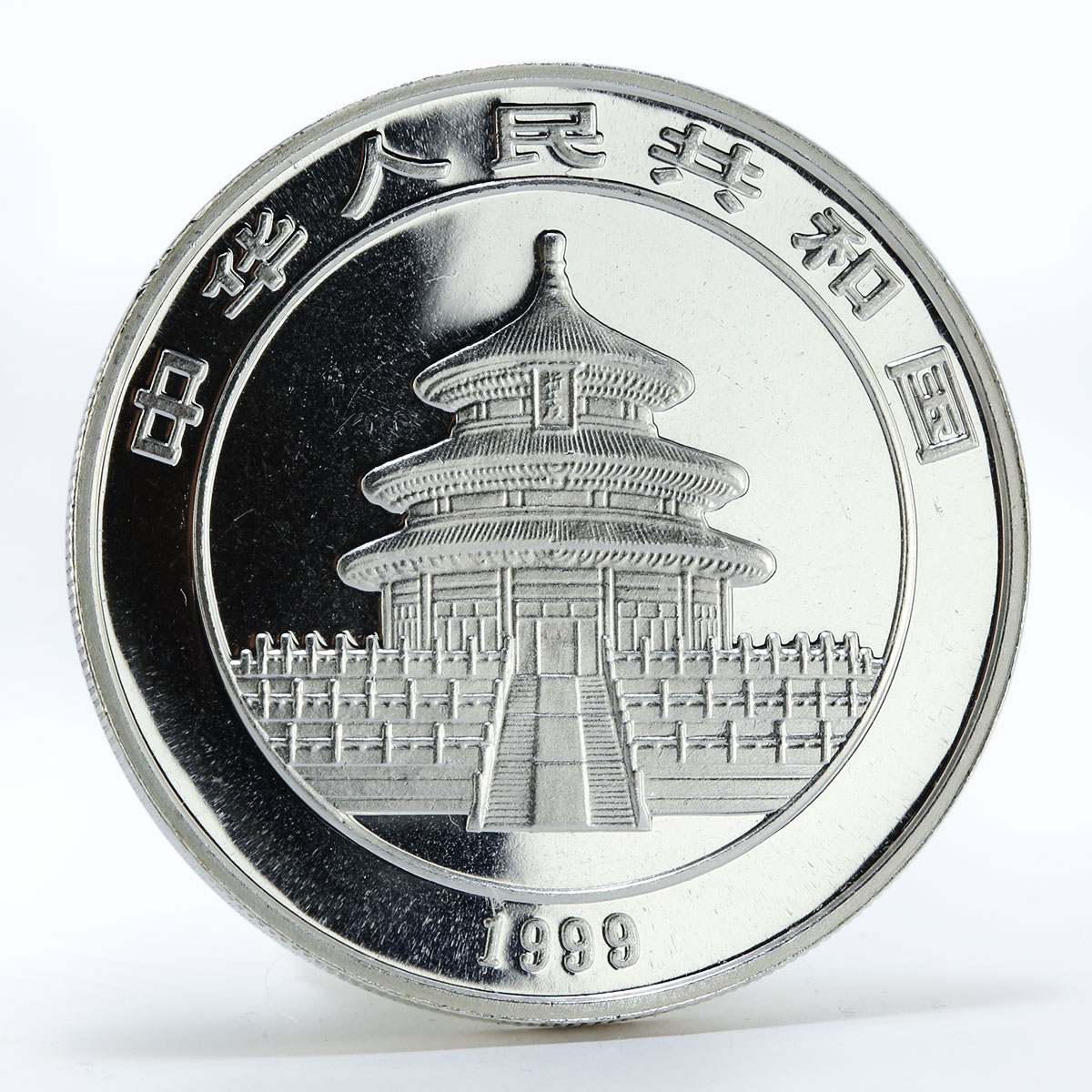 China 10 yuan Panda on rock silver coin 1999