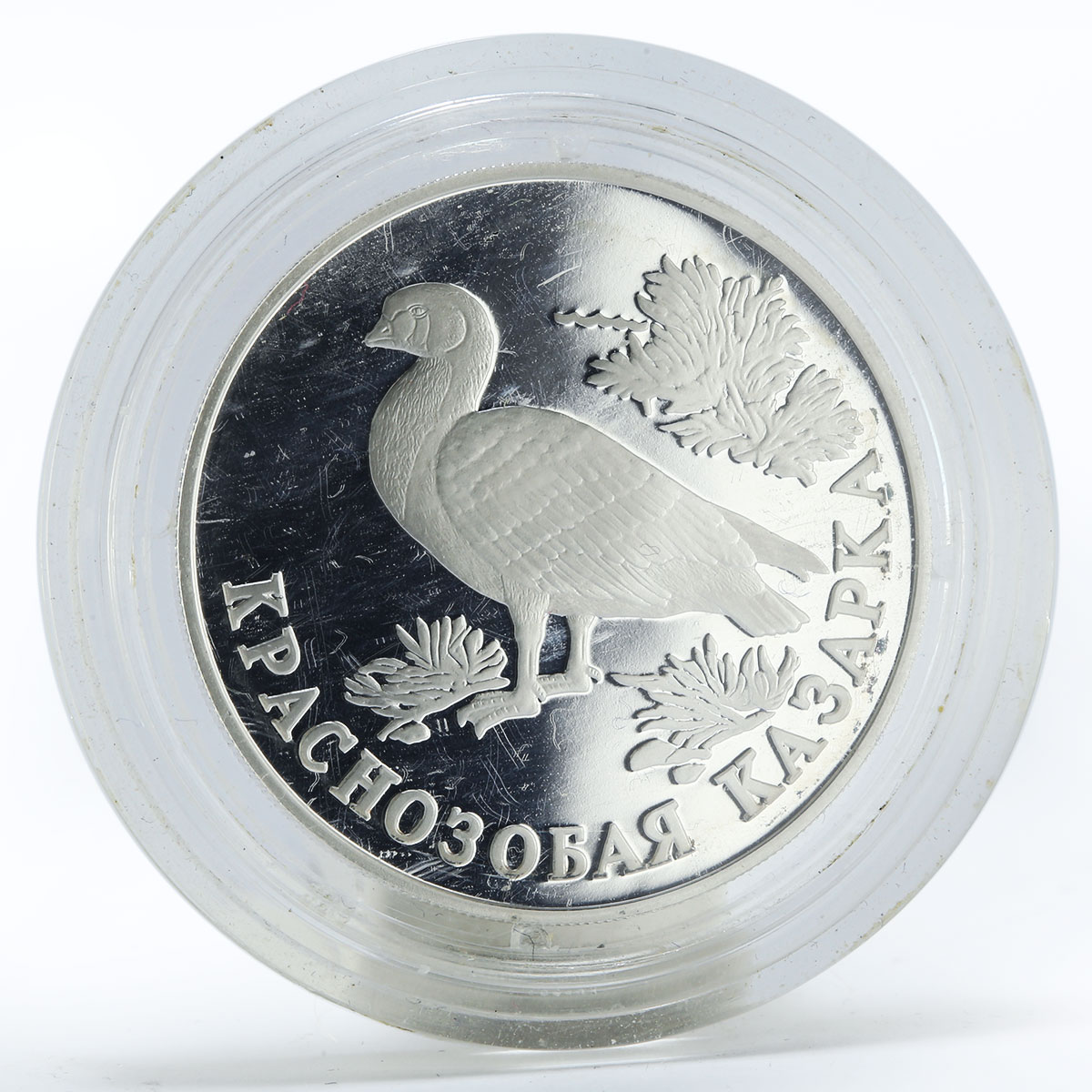 Russia 1 ruble Red Book Red-Breasted Goose proof silver coin 1994