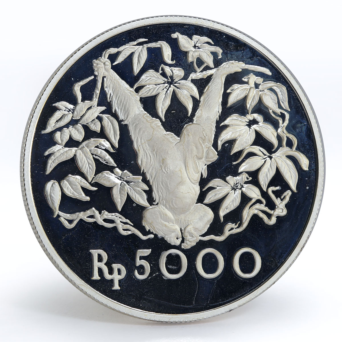 Indonesia 5000 Rupiah Orangutan animal proof silver coin 1974