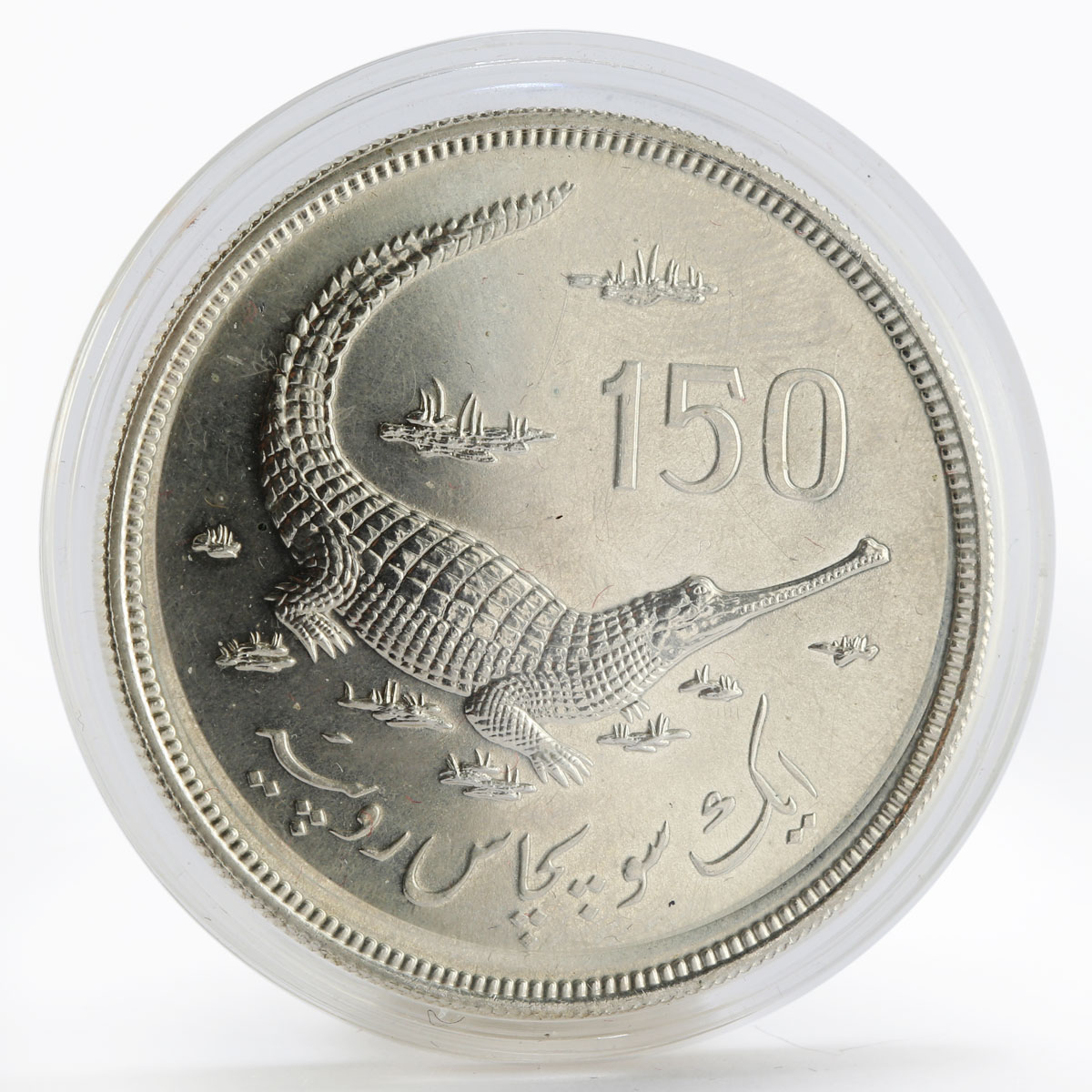 Pakistan 150 rupees Gavial crocodile and value silver coin 1976