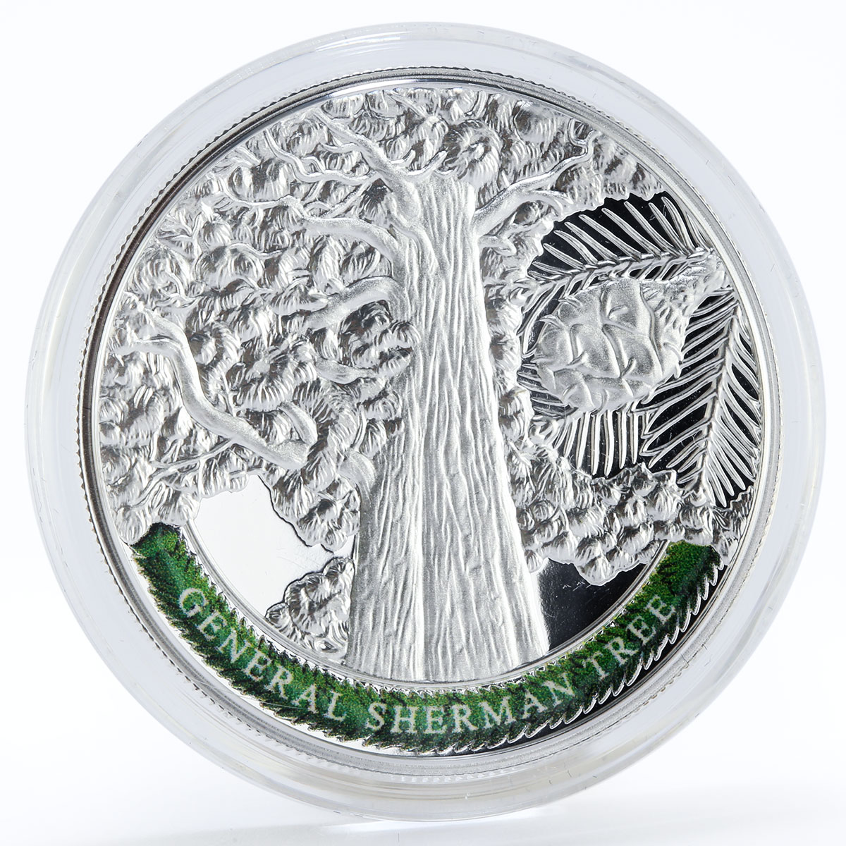 Armenia set of 4 coins 100 drams Oldest Trees Of The World proof silver 2014