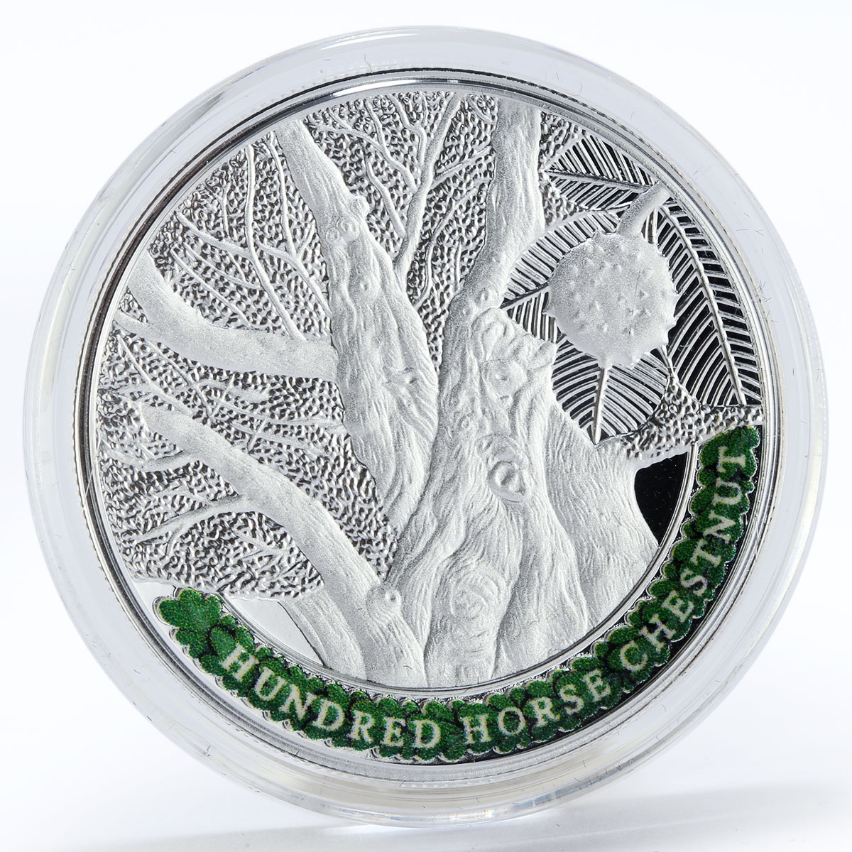 Armenia set of 4 coins 100 drams Oldest Trees Of The World proof silver 2014