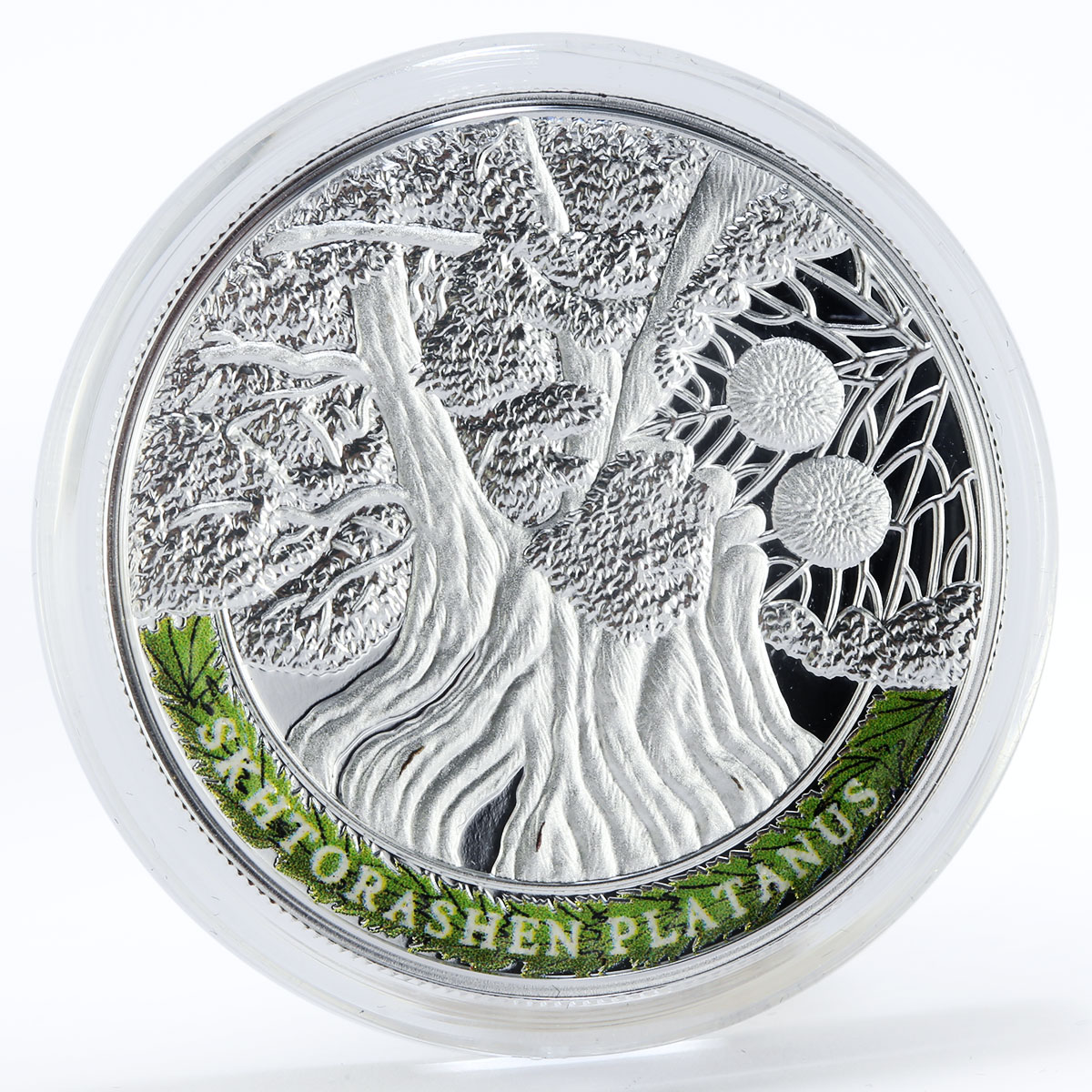 Armenia set of 4 coins 100 drams Oldest Trees Of The World proof silver 2014