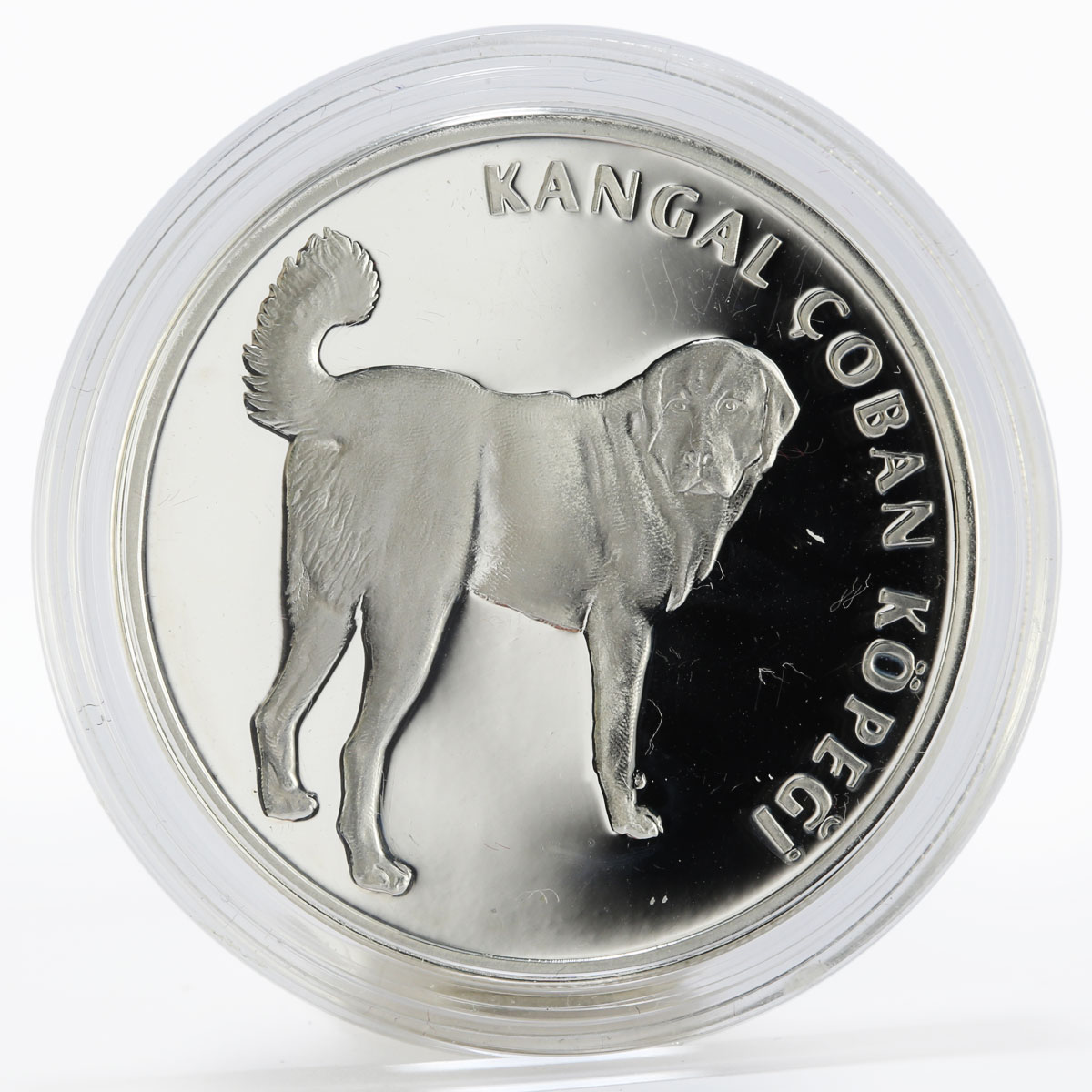 Turkey 20 lira Kangal Dog animal proof silver coin 2005