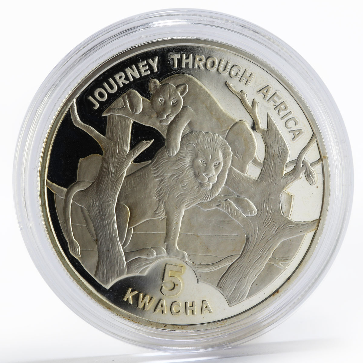 Malawi 5 Kwacha Lion Lioness Journey Through Africa silver proof coin 2006