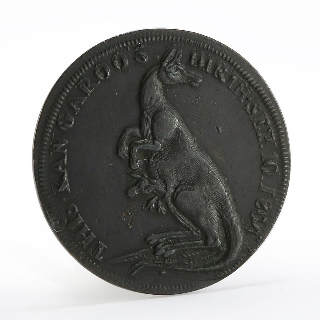 England Pidcock’s Menagerie Animals Kangaroo with Joey Lion and Dog token 1801