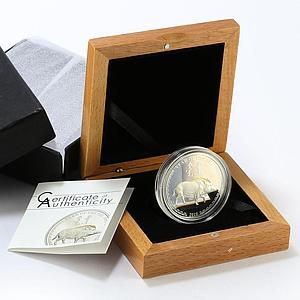 Mongolia 10000 togrog Year of the Pig gilded proof silver coin 2019