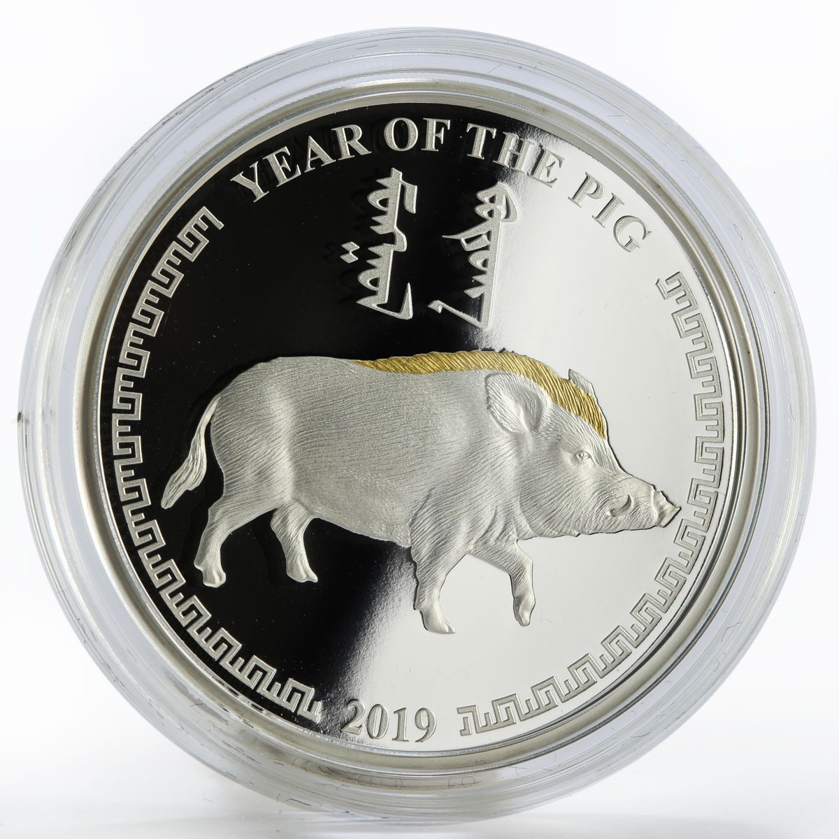 Mongolia 10000 togrog Year of the Pig gilded proof silver coin 2019