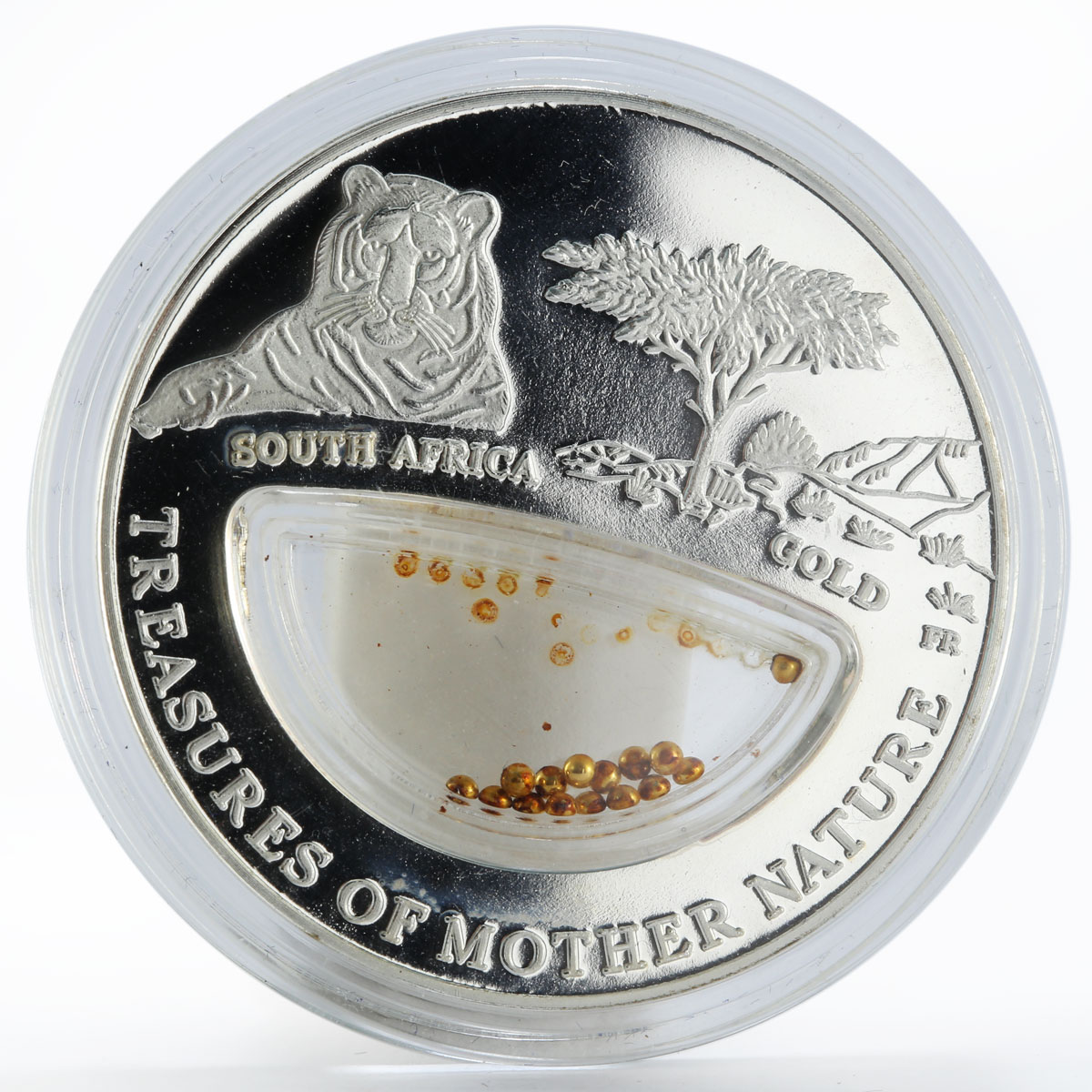 Fiji 10 dollars South Africa - Gold cu-ni silverplated coin 2012