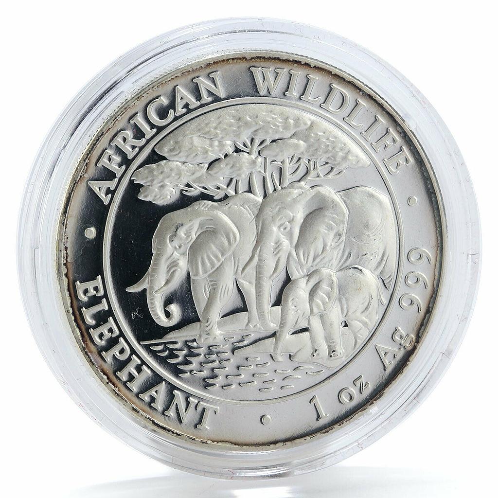 Somalia 100 shillings Elephant proof silver coin 2013