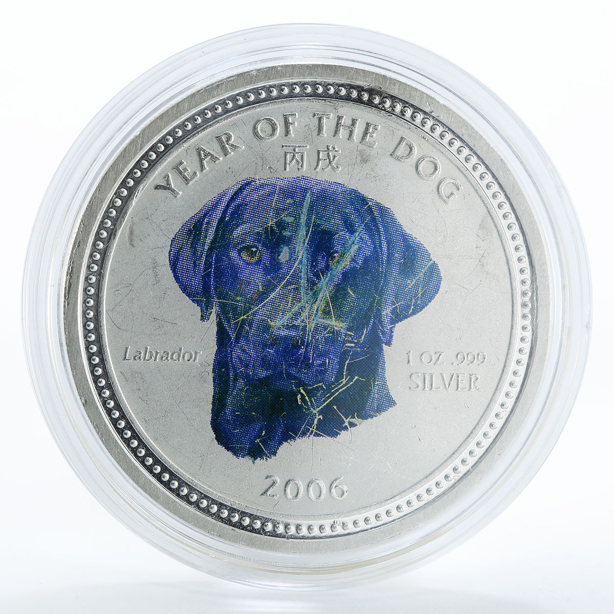 Cambodia 3000 riels Year of the Dog Labrador silver color coin 2006