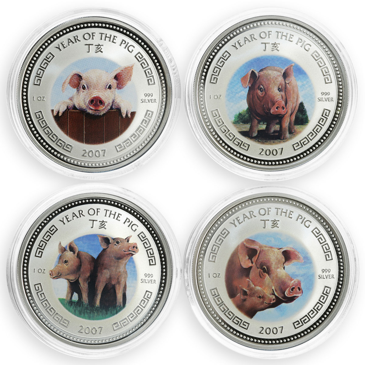 Cambodia 3000 riels set of 4 coins Year of the Pig Lunar coloured coin 2007