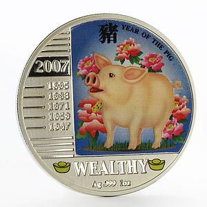 Niue 1 dollar Year of the Pig Wealthy colored silver proof coin 2007