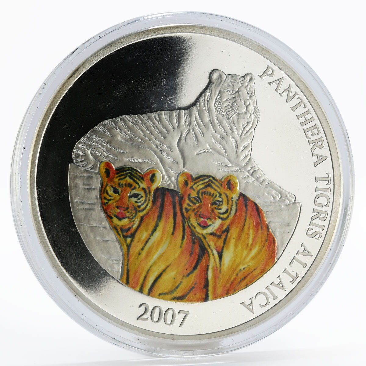 Mongolia 5000 togrog Panthera Tigris Altaica colored proof silver coin 2007