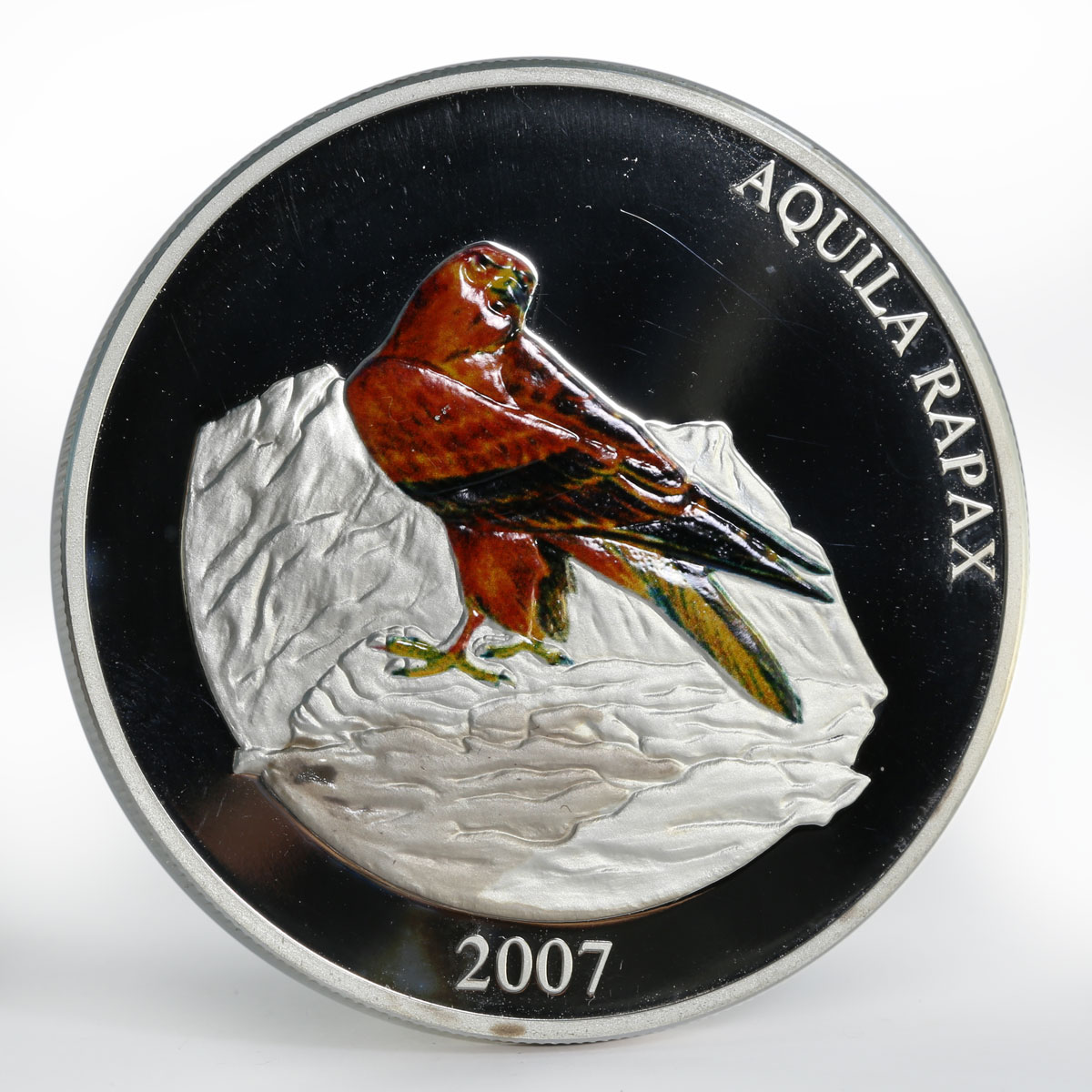 Mongolia 5000 togrog Aquila Rapax Steppe Eagle colored proof silver coin 2007