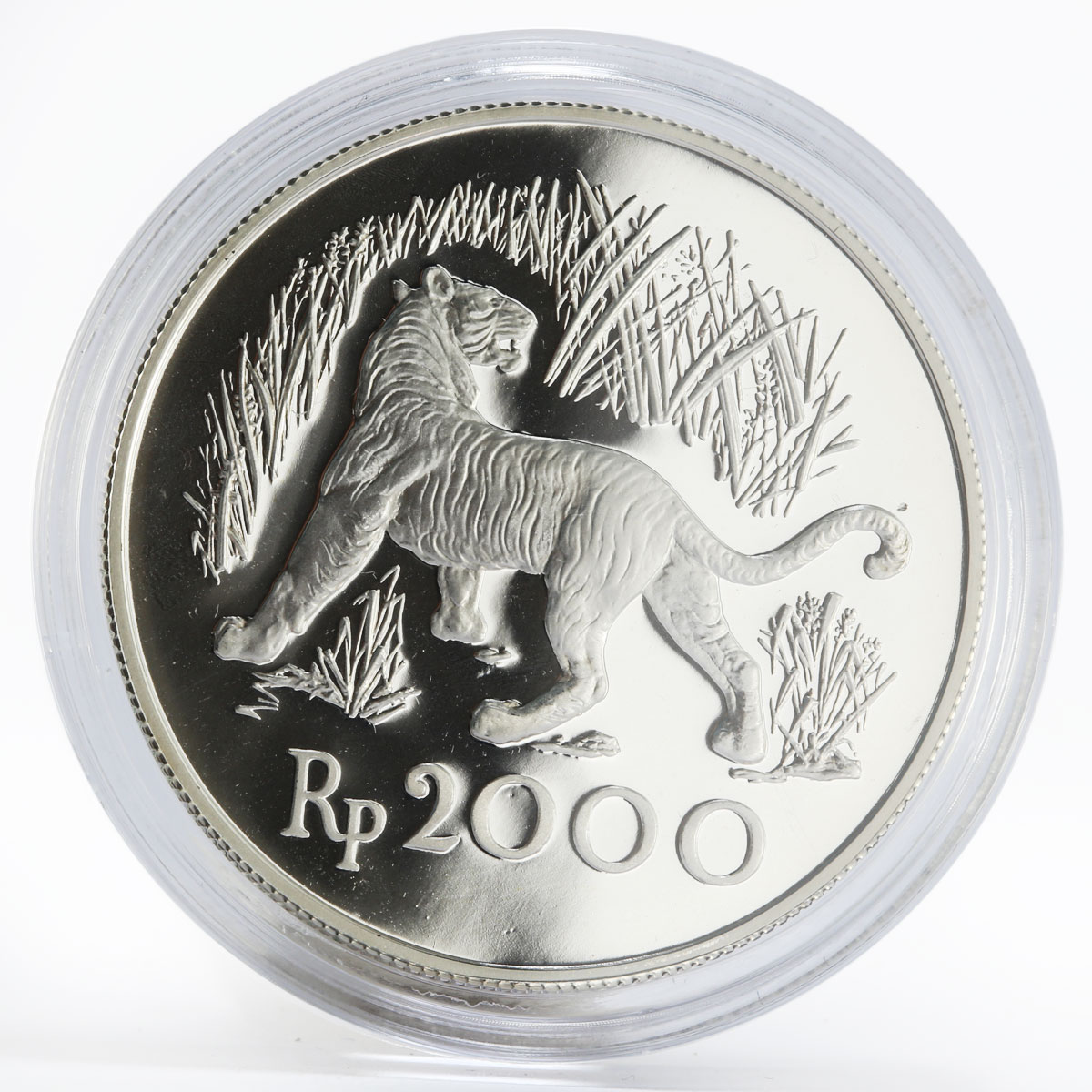 Indonesia 2000 Rupiah Javan Tiger proof silver coin 1974