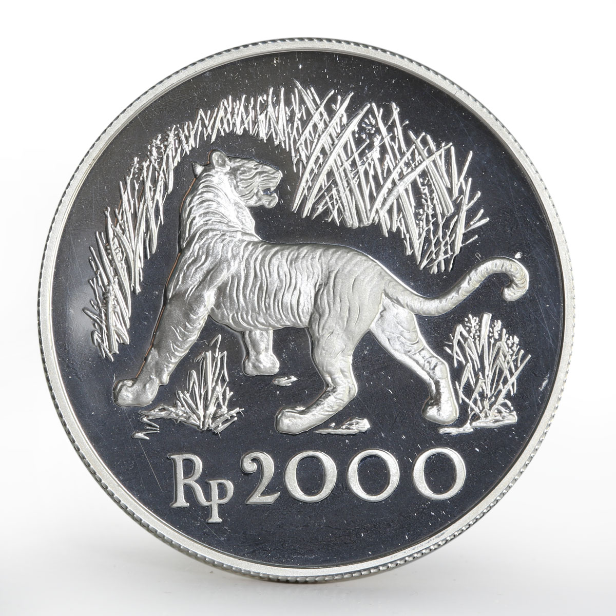 Indonesia 2000 Rupiah Javan Tiger proof silver coin 1974