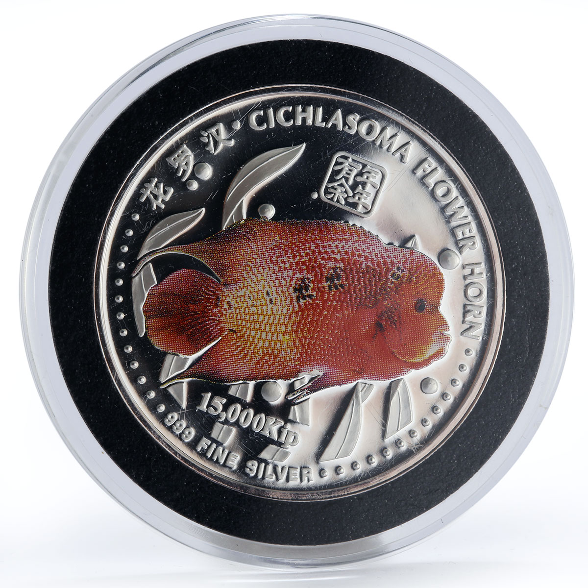 Laos 15000 kip Cichlasoma flower horn fish colored silver proof coin 2003 2004