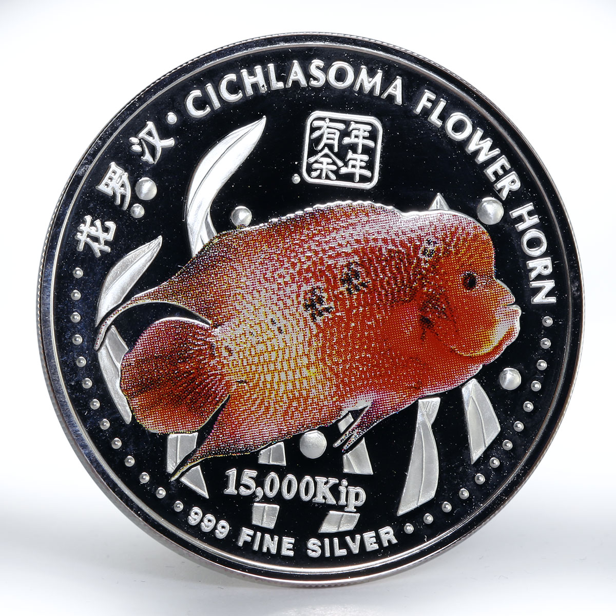 Laos 15000 kip Cichlasoma flower horn fish colored silver proof coin 2003 2004