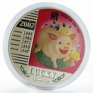 Niue 1 dollar Year of the Pig Lucky colored silver proof coin 2007